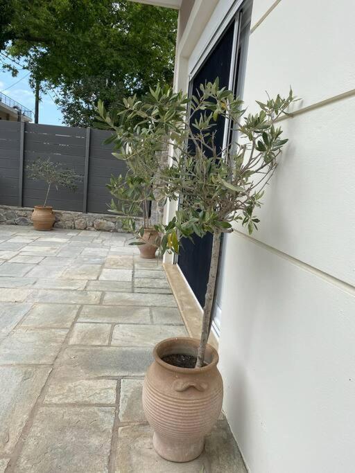 Villa Oleander Agios Nikolaos Loutra Edipsou المظهر الخارجي الصورة